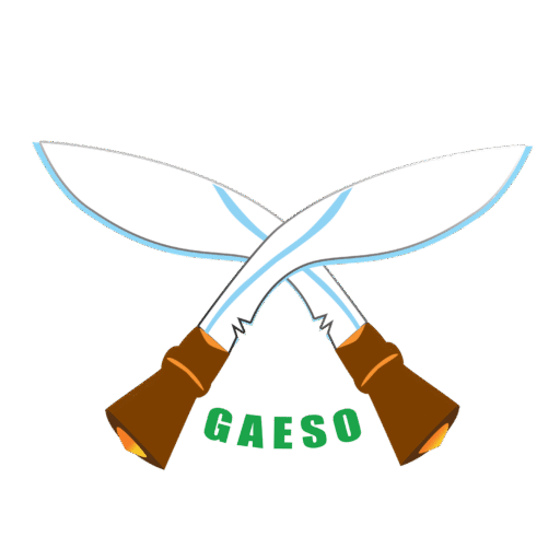 cropped-gaeso-logo-new.png